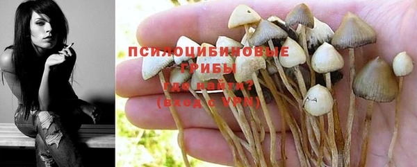 первитин Верея