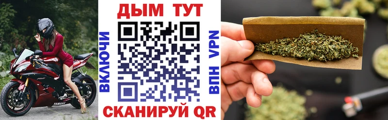 Шишки марихуана сатива Кимовск